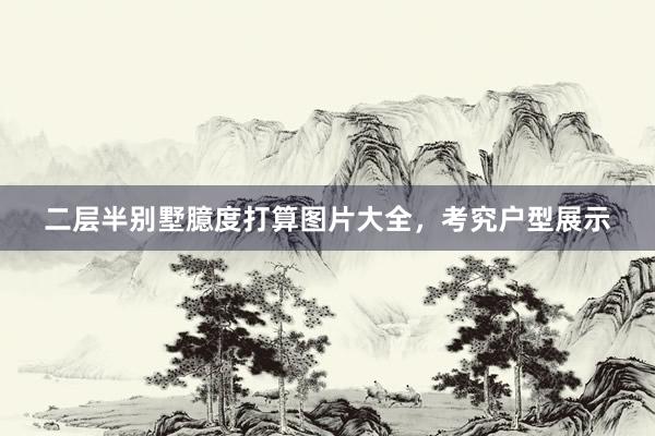 二层半别墅臆度打算图片大全，考究户型展示