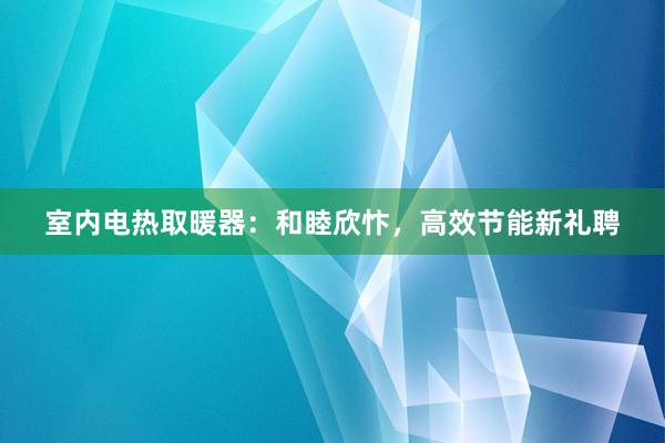 室内电热取暖器：和睦欣忭，高效节能新礼聘