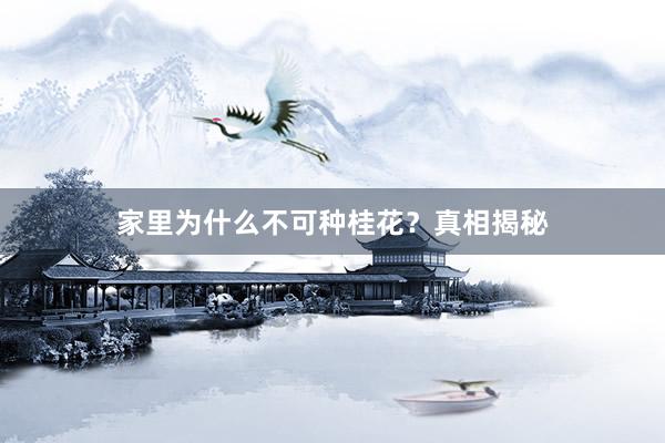家里为什么不可种桂花？真相揭秘