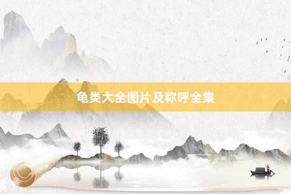 龟类大全图片及称呼全集